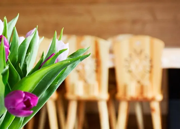 Z Bali מורזאסיחלה